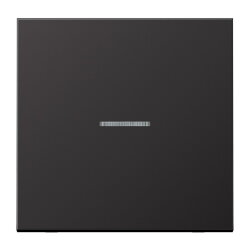 Jung Wippe mit Lichtleiter für Taster 1fach,...