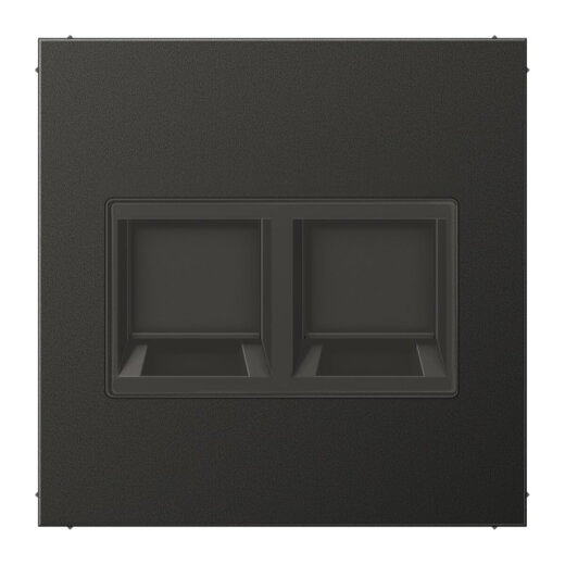 Jung Abdeckung (gerastet) für Modular-Jack-Steckbuchsen 2fach, UMA-CAT6A, RADIALL, Panduit, Assmann, Aluminium lackiert, Serie LS, anthrazit AL1969-2WEAN