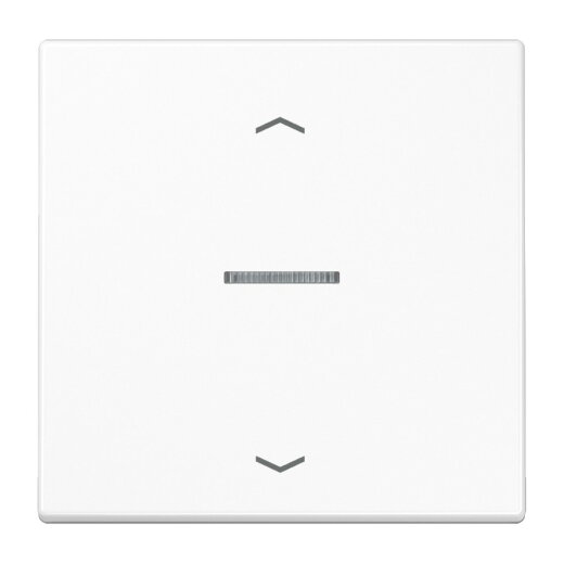 Jung Wippe mit Lichtleiter, mit Pfeilsymbolen für Taster 1fach, Duroplast, Serie LS, alpinweiß LS101KO5PWW