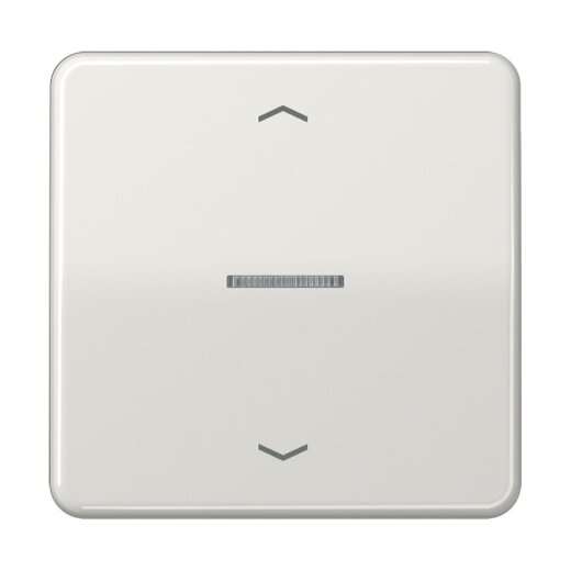 Jung Wippe mit Lichtleiter, mit Pfeilsymbolen für Taster 1fach, Duroplast, Serie CD, lichtgrau CD101KO5PLG