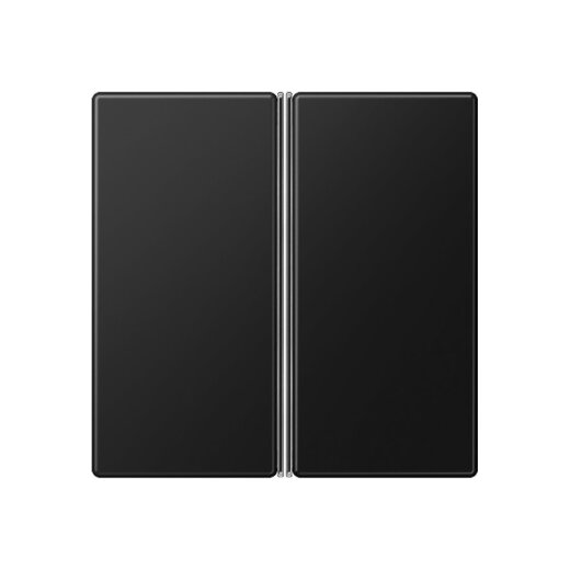 Jung Tastensatz 2fach, F40, Serie A, graphitschwarz matt A402TSASWM