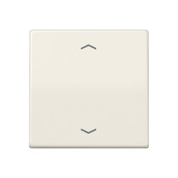 Jung Wippe, mit Pfeilsymbolen für Taster 1fach,...