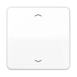 Jung Wippe, mit Pfeilsymbolen für Taster 1fach,...