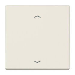 Jung Wippe, mit Pfeilsymbolen für Taster 1fach,...