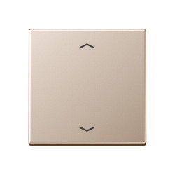 Jung Wippe, mit Pfeilsymbolen für Taster 1fach,...