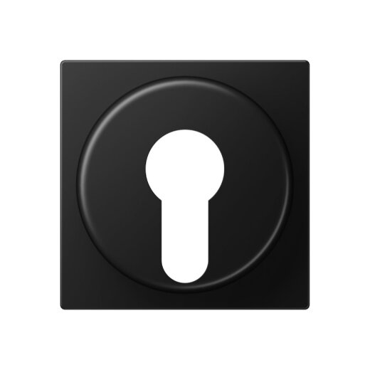 Jung Abdeckung für Schlüsselschalter mit Demontageschutz, Thermoplast lackiert, Serie A, graphitschwarz matt A528PLSWM