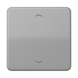 Jung Wippe, mit Pfeilsymbolen für Taster 1fach,...