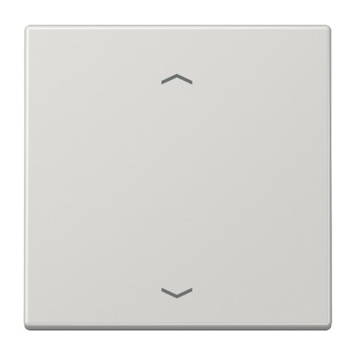 Jung Wippe, mit Pfeilsymbolen für Taster 1fach, Duroplast, Serie LS, lichtgrau LS101PLG