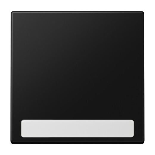 Jung Wippe 1fach, mit Schriftfeld, Serie LS, graphitschwarz matt LS990NASWM