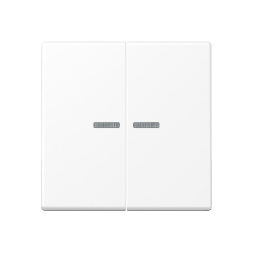 Jung Wippe 2fach mit Lichtleiter, Serie A, schneeweiß matt A595KO5WWM