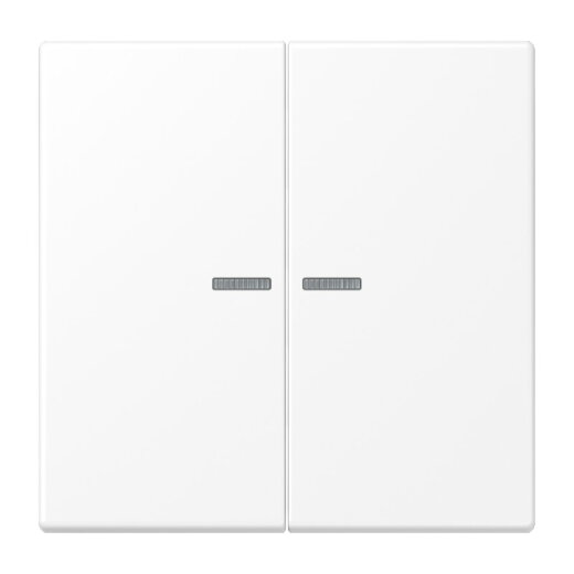 Jung Wippe 2fach mit Lichtleiter, Serie LS, schneeweiß matt LS995KO5WWM