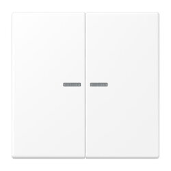 Jung Wippe 2fach mit Lichtleiter, Serie LS,...