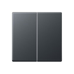 Jung Wippe für Taster 2fach, Thermoplast lackiert,...