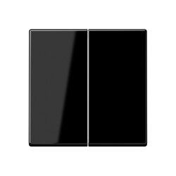 Jung Wippe für Taster 2fach, Thermoplast, Serie A,...