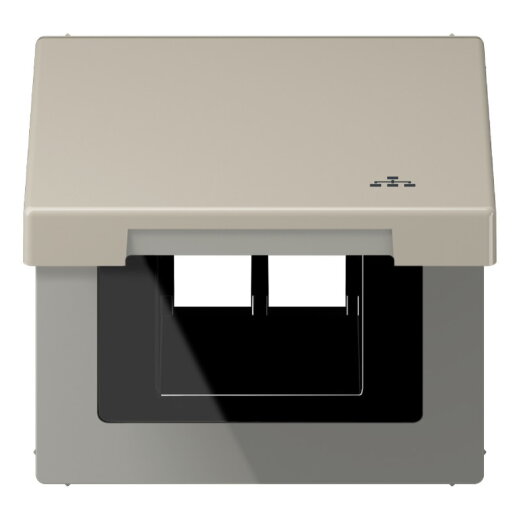 Jung Klappdeckel mit Rückstellfeder, mit Symbol LAN, Serie LS, Edelstahl ES2990KLLAN