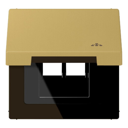 Jung Klappdeckel mit Rückstellfeder, mit Symbol LAN, Serie LS, Messing classic ME2990KLLANC