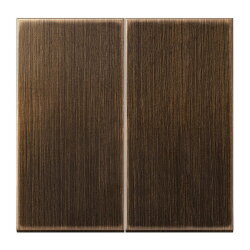 Jung LB-Management Taster 2fach, Messing, Serie LS,...