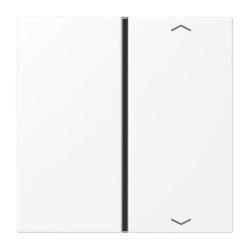 Jung Taste 1fach, mit Pfeilsymbolen, F40, Serie LS,...