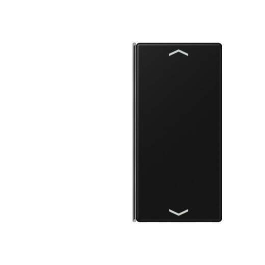 Jung Taste 2fach, mit Pfeilsymbolen, F40, Serie A, graphitschwarz matt A402TSAPSWM