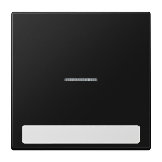 Jung Wippe 1fach mit Lichtleiter, mit Schriftfeld, Serie LS, graphitschwarz matt LS990NAKO5SWM