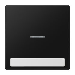 Jung Wippe 1fach mit Lichtleiter, mit Schriftfeld, Serie...