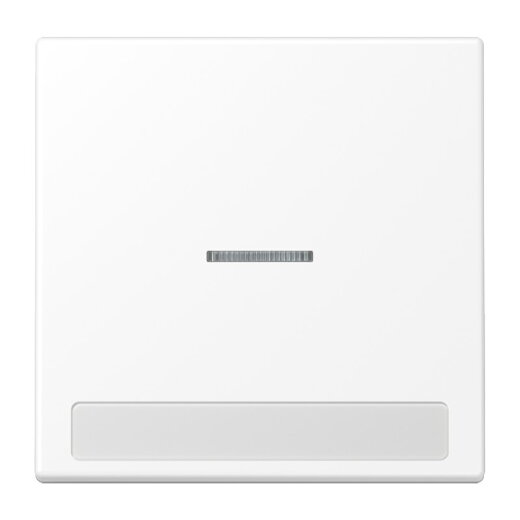 Jung Wippe 1fach mit Lichtleiter, mit Schriftfeld, Serie LS, schneeweiß matt LS990NAKO5WWM