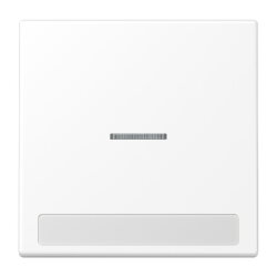 Jung Wippe 1fach mit Lichtleiter, mit Schriftfeld, Serie...