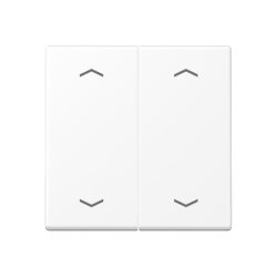 Jung Wippe, mit Pfeilsymbolen für Taster 2fach,...