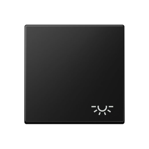 Jung Wippe 1fach, Symbol Licht, Serie A, graphitschwarz matt A590LSWM