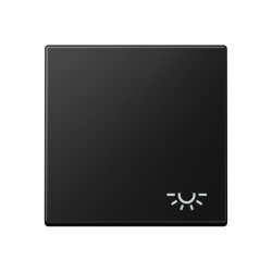 Jung Wippe 1fach, Symbol Licht, Serie A, graphitschwarz...