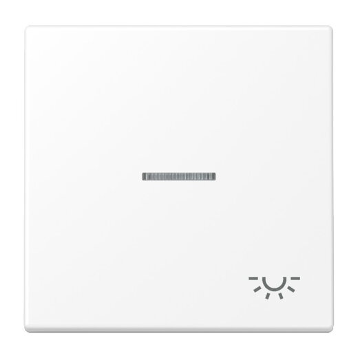Jung Wippe 1fach mit Lichtleiter, Symbol Licht, Serie LS, schneeweiß matt LS990KO5LWWM
