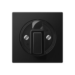 Jung Abdeckung für Drehschalter, Thermoplast...