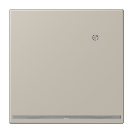 Jung LED-Orientierungslicht mit Helligkeitssensor, Serie LS, Edelstahl ES1539-OLNW