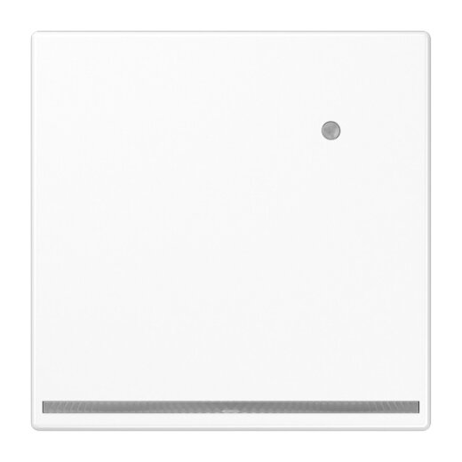 Jung LED-Orientierungslicht mit integriertem Helligkeitssensor, Thermoplast, Serie LS, alpinweiß LS1539-OWWLNW