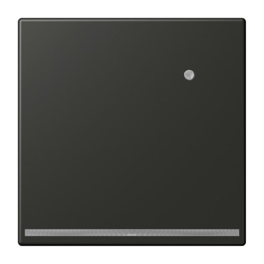 Jung LED-Orientierungslicht mit Helligkeitssensor, Serie LS, anthrazit AL1539-OANLNW