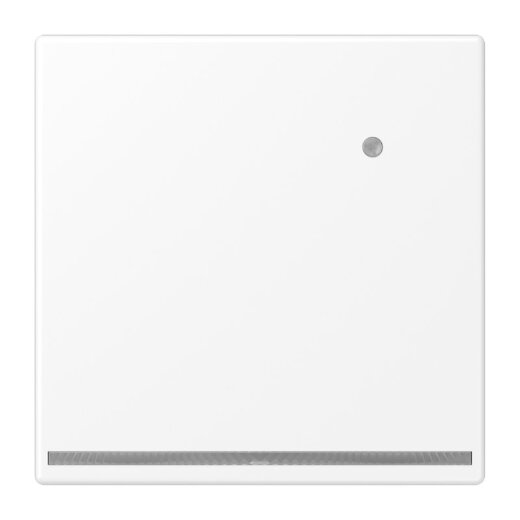 Jung LED-Orientierungslicht mit Helligkeitssensor, Serie LS, schneeweiß matt LS1539-OWWMLNW