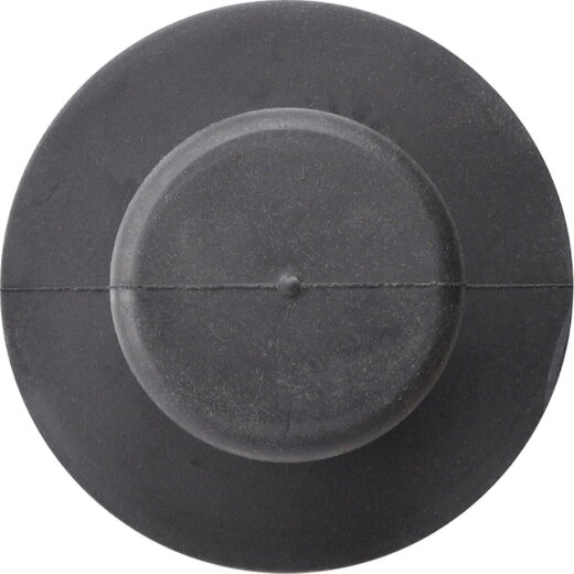 Gira Zubehör 853800 Frontscheibe Video Term.