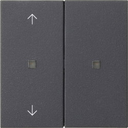 Gira Aufsatz KNX RF 2f Pfeile Sys 55 anthr.