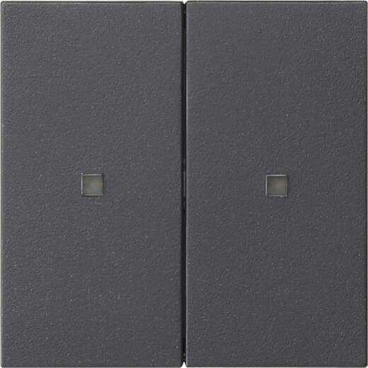 Gira Aufsatz KNX RF 2f Sys 55 anthr.