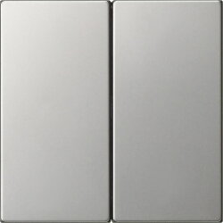 Gira Aufsatz 5362600 S3000 2f System 55 edelstahl