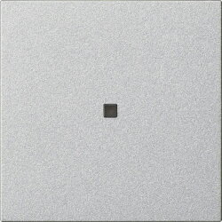 Gira Aufsatz S3000 BT System 55 F Alu