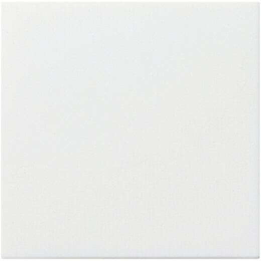 Gira Abdeckung 022527 Ack 72642C 72639A System 55 rwm