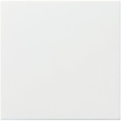 Gira Abdeckung 022527 Ack 72642C 72639A System 55 rwm