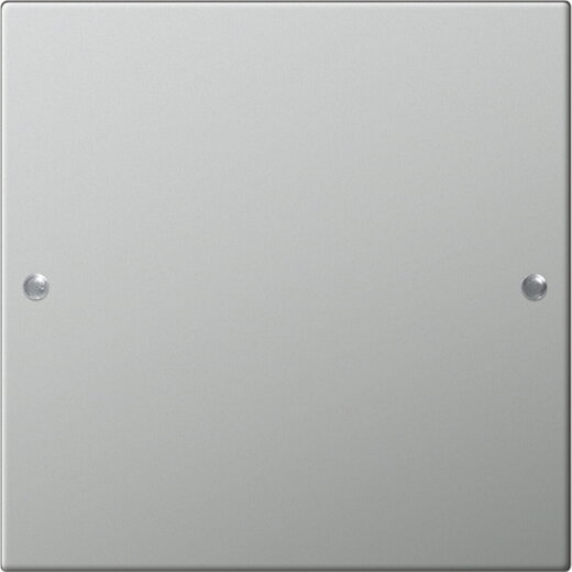 Gira Set 2131601 1fach System 55 Edelstahl