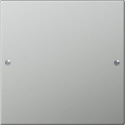 Gira Set 2131601 1fach System 55 Edelstahl