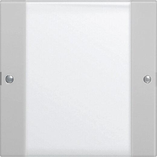 Gira Wippe 2131015 1f BSF Sys 55 Klar/grau