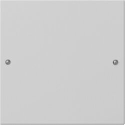 Gira Wippe 2181015 1f Sys 55 grau(lack.)