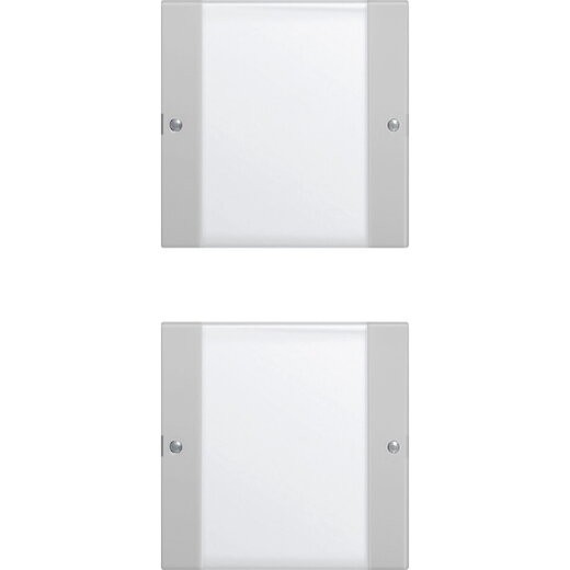 Gira Wippe 2132015 2f (1+1) BSF Sys 55 Klar/grau