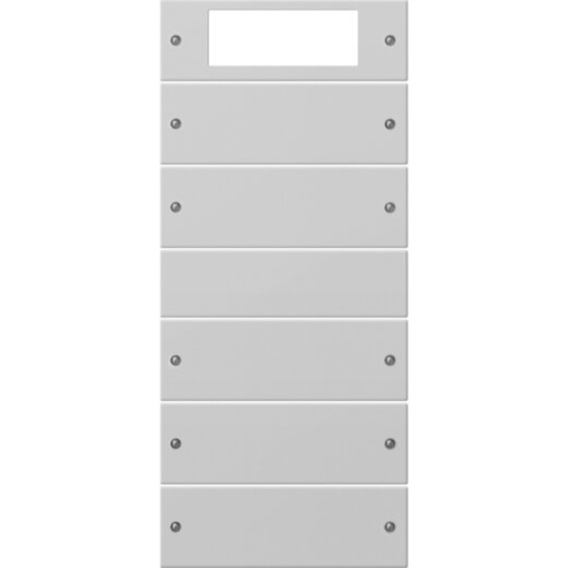 Gira Wippe 2195015 5f+(2+3) Sys 55 grau(lack.)