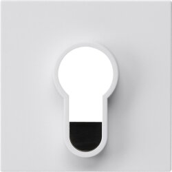 Gira Abdeckung 866403 Schlüsselschalter o.Aufd Sys55 rw